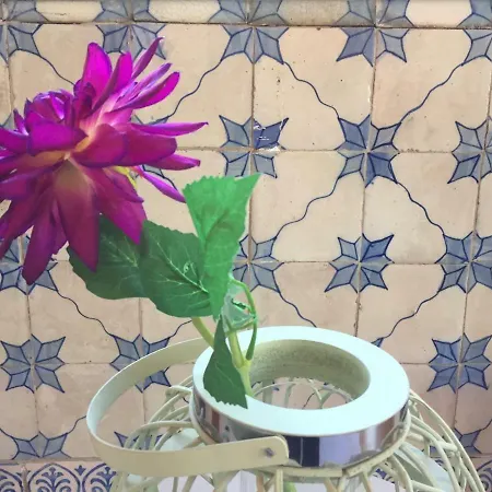 아파트 Alfama Center 리스본